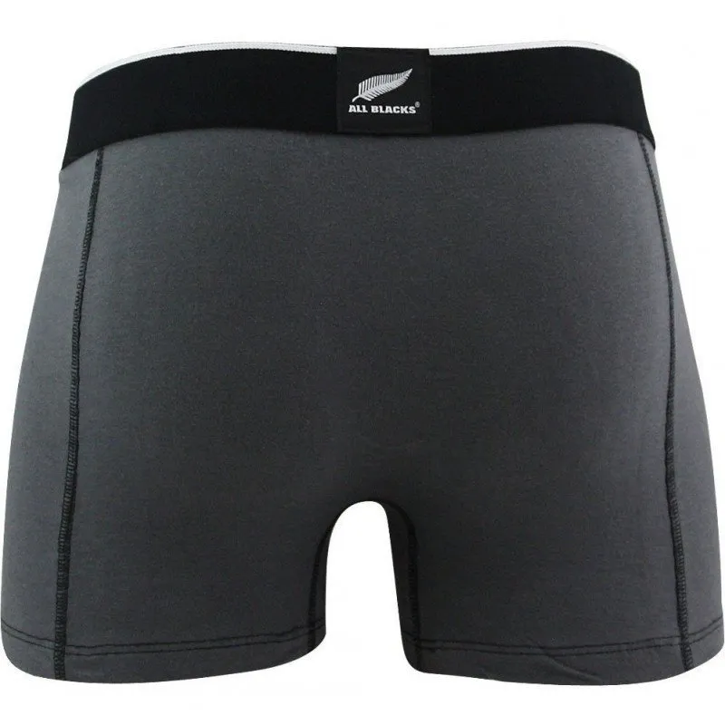 ALL BLACKS Boxer Homme Coton 365 Anthracite