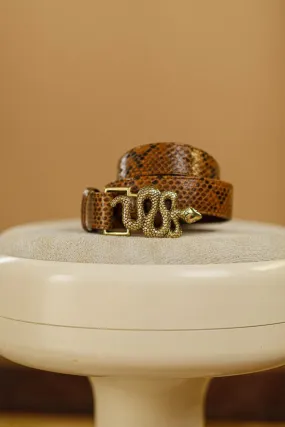 Ceinture Snake Moka Boucle Doré